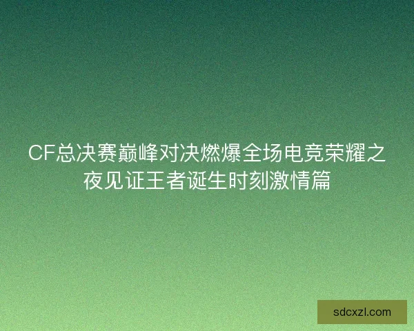 CF总决赛巅峰对决燃爆全场电竞荣耀之夜见证王者诞生时刻激情篇